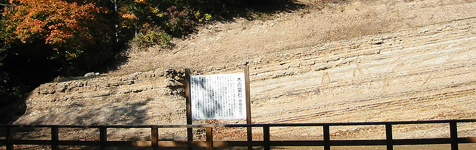 木の葉化石園、解説のページ